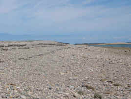 116_1613_small.jpg (294497 bytes)